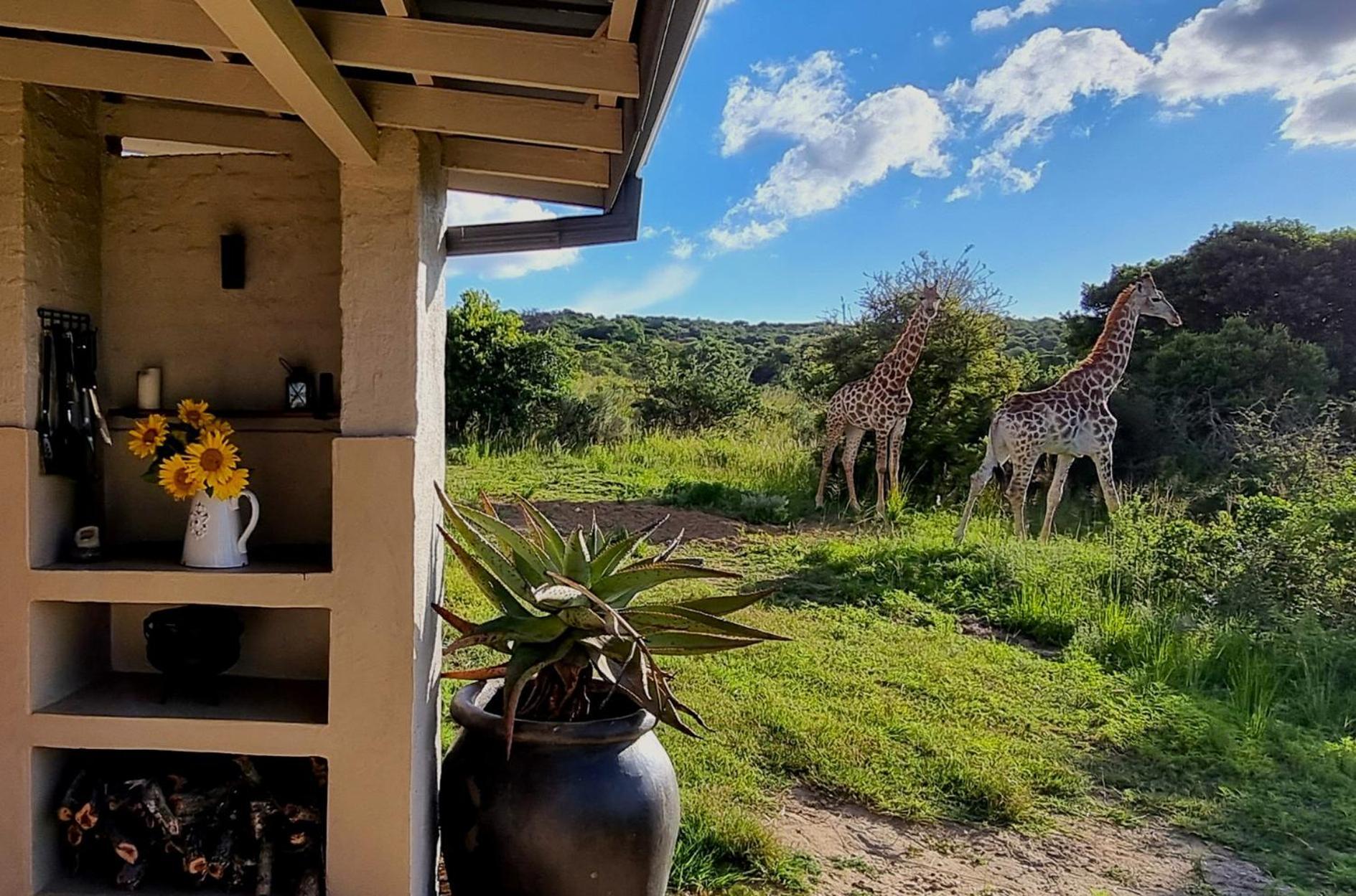 Graceland Eco Retreat Magoebaskloof Exteriér fotografie