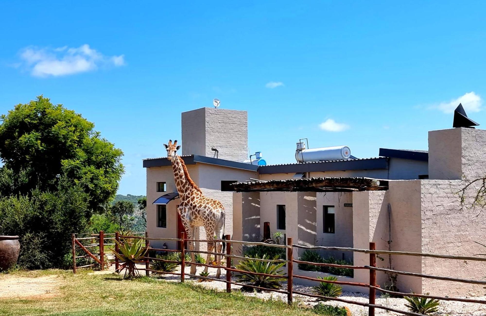 Graceland Eco Retreat Magoebaskloof Exteriér fotografie