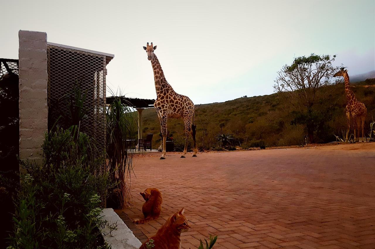 Graceland Eco Retreat Magoebaskloof Exteriér fotografie
